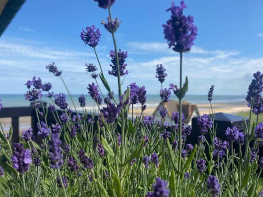 Apartamento Sur La Plage / Enjoy The Beach Cabourg Exterior foto